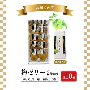 大河原の梅と清水のゼリー うめ果りり 10個入り 10,000円台おすすめ返礼品 お菓子 スイーツ 和スイーツ 梅の風味 梅ゼリー おやつ 食後 ひんやりスイーツ 涼 夏 さっぱり やさしい甘味 酸味 