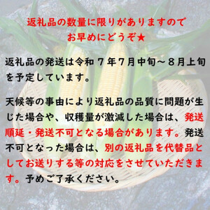 【先行受付2024年】とうもろこし味来(みらい　約3.0kg)　数量限定【配送不可地域：離島】【1451274】