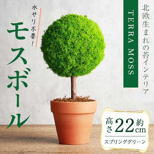 塊根植物、グラキリス、アデニウムセット