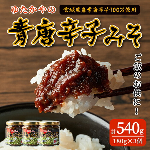 ゆたかやの 青唐辛子みそ 180g×3個 ご飯のお供に 調味味噌 青唐辛子 味噌 青とうがらし 南蛮 調味料 おかず 味噌おにぎり 味噌田楽 【豊屋食品工業株式会社】sh043