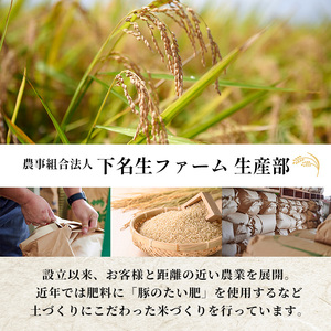 【令和7年産 新米】柴田町産 ひとめぼれ <玄米> 30kg お米 おこめ 米 コメ 白米 ご飯 ごはん おにぎり 宮城米 新米 令和7年産 お弁当 【下名生ファーム】 sh123