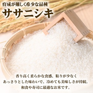 【令和7年産 新米】しばたのササニシキ 精米 5kg 柴田町産 お米 おこめ 米 コメ 白米 ご飯 ごはん おにぎり お弁当 ささにしき【しばたの未来株式会社】sh138