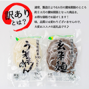 【訳あり】つるもち食感！グルテンフリー米麺 詰め合わせ20食（精米・玄米 各10食ずつ）【25103】