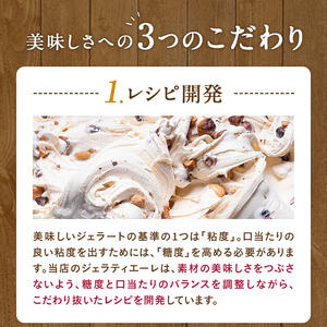 本格イタリアン1Lバットジェラート「ミルク」2L(1Lx2個)【0106702】