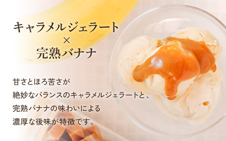 プロテインジェラート キャラメルバナナ 1Lバット【0121001】