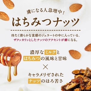 本格イタリアン2Lバットジェラート「はちみつナッツ」2L(1L×2個)【0122701】