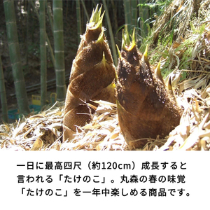 【丸森町特産】 たけのこカレー7個【08107】