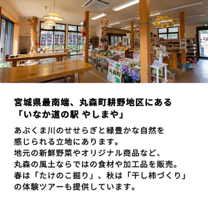 【丸森町特産】 たけのこカレー7個【08107】