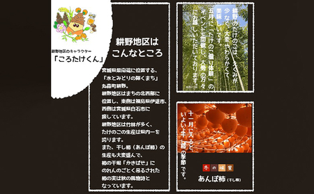 宮城県丸森町産　干し柿　230g×6パック【45001】