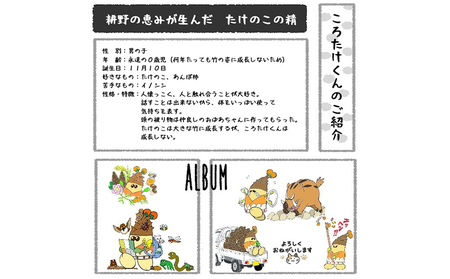 宮城県丸森町産　干し柿　230g×6パック【45001】