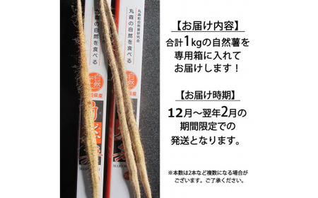 丸森町産 自然薯1kg 専用化粧箱入り レシピ集付き【12103】