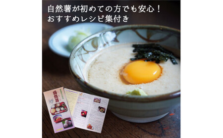 丸森町産 自然薯1kg 専用化粧箱入り レシピ集付き【12103】