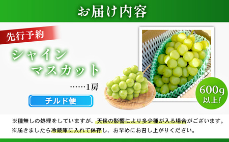 【先行予約】《2026年9月下旬～11月下旬出荷》  宮城県丸森町産 シャインマスカット　1房(1房 600g以上)【48002】