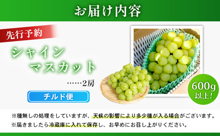 【先行予約】《2026年9月下旬～11月下旬出荷》 宮城県丸森町産 シャインマスカット　2房(1房 600g以上)【4800302】