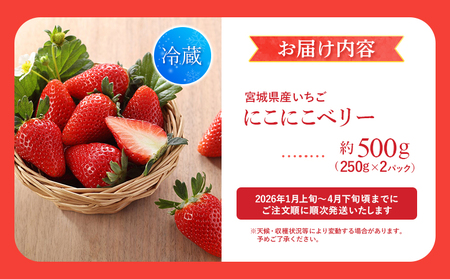 宮城県産いちご「にこにこベリー」約500g(250g×2)【58001】