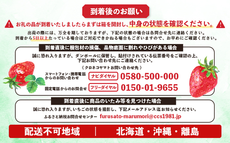 宮城県産いちご「にこにこベリー」約500g(250g×2)【58001】