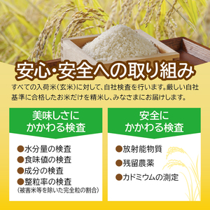 米 10kg 令和4年産 宮城県産 ササニシキ 5kg×2袋 精米 アイリスオーヤマ こめ コメ ご飯 ごはん ブランド米 一等米 美味しい おいしい  2022年度産 ささにしき