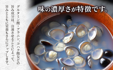 【先行受付】 砂抜き済み 宮城県亘理町産  冷凍しじみ約1.6kg（400g×4パック）