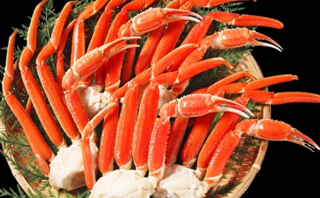 【カニ】ボイルずわいがに脚 1kg 2Lサイズ<マルヤ水産株式会社>