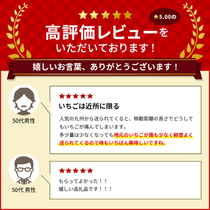 【3月発送】亘理町のいちご もういっこ 250g×4パック ＜オンライン決済限定＞※先行受付中！！