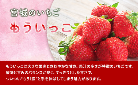 【3月発送】亘理町のいちご もういっこ 250g×4パック ＜オンライン決済限定＞※先行受付中！！