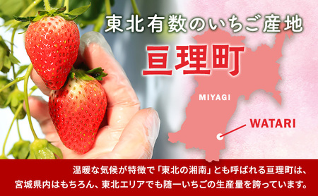 【3月発送】亘理町のいちご もういっこ 250g×4パック ＜オンライン決済限定＞※先行受付中！！