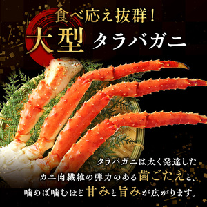 限定 蟹 ボイル タラバガニ 脚 DXサイズ 1.3kg 1本 | 宮城県亘理町