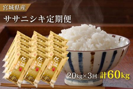 米 定期便 20kg 2か月 3回 宮城県産 ササニシキ 低温製法米 5kg×4袋 計