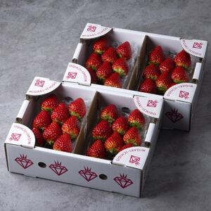 (農場直送)ミガキイチゴ・レギュラー(250g×4パック)【配送不可地域：離島】【1339603】