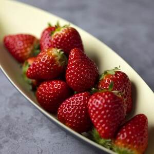 (農場直送)ミガキイチゴ・レギュラー(250g×4パック)【配送不可地域：離島】【1339603】