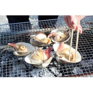 ホッキ貝15個(3～4kg)【宮城県山元町磯浜漁港直送】獲れたての大粒北寄貝をお届けします 刺身でも【配送不可地域：離島】【1479869】