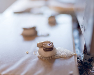 牡蠣せんべい「カキとコメと」 No.014