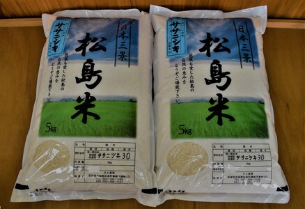 【令和7年度産】松島産ササニシキ5kg×2袋 No.092