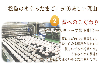 松島のめぐみたまご 40個入り 3ヵ月定期便 No.163