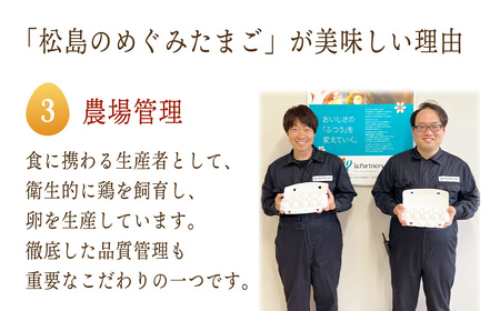 松島のめぐみたまご 40個入り 6ヵ月定期便 No.165