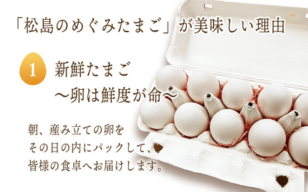 No.167 松島のめぐみたまご 40個入り 12ヵ月定期便