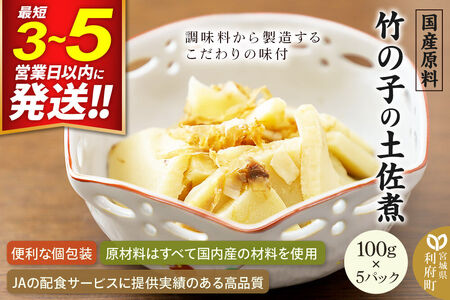 国産原料 竹の子の土佐煮 100g×5パック