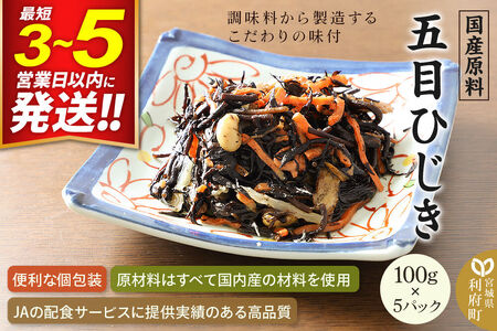 国産原料 五目ひじき 100g×5パック