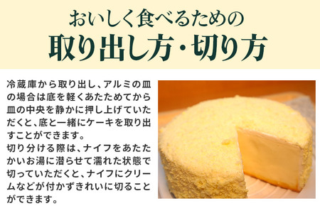 【ふるなび限定】【ベイクドチーズとレアチーズ2つの味わい】ダブルチーズケーキ 4個セット【ふるなび限定】FN-Limited