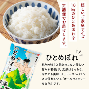 ＜3か月定期便＞ひとめぼれ 30kg お米 おこめ 米 コメ 白米 ご飯 ごはん おにぎり お弁当 宮城産 頒布会【赤間農業開発株式会社】ta382