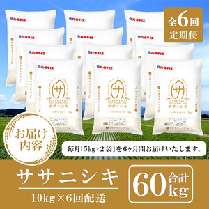 ＜6ヶ月定期便＞宮城県産 ササニシキ 合計60kg (10kg×6回) お米 おこめ 米 コメ 白米 ご飯 ごはん おにぎり お弁当 ブランド米 ささにしき 宮城米 頒布会【株式会社パールライス宮城】ta395