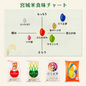 ＜6ヶ月定期便＞宮城県産 ササニシキ 合計60kg (10kg×6回) お米 おこめ 米 コメ 白米 ご飯 ごはん おにぎり お弁当 ブランド米 ささにしき 宮城米 頒布会【株式会社パールライス宮城】ta395