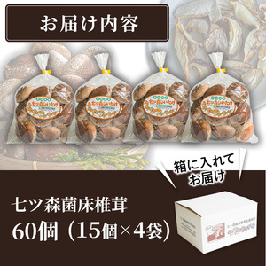 七ツ森菌床椎茸 15個×4袋 肉厚 生椎茸 しいたけ シイタケ きのこ 炊き込みご飯 和食  小分け ステーキ 肉詰め 国産 宮城県産 【農事組合法人七ツ森菌床椎茸生産組合】ta386