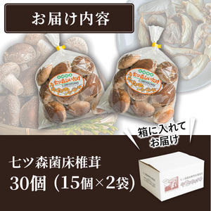 七ツ森菌床椎茸 15個×2袋 肉厚 生椎茸 しいたけ シイタケ きのこ 炊き込みご飯 和食  小分け ステーキ 肉詰め 国産 宮城県産 【農事組合法人七ツ森菌床椎茸生産組合】ta385