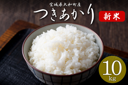 ＜令和6年産 新米＞ つきあかり 10kg お米 おこめ 米 コメ 白米 ご飯 ごはん おにぎり お弁当【赤間農業開発株式会社】ta460