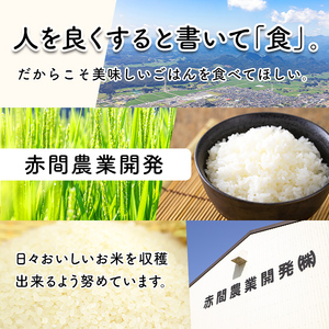 ＜令和6年産 新米＞ つきあかり 10kg お米 おこめ 米 コメ 白米 ご飯 ごはん おにぎり お弁当【赤間農業開発株式会社】ta460