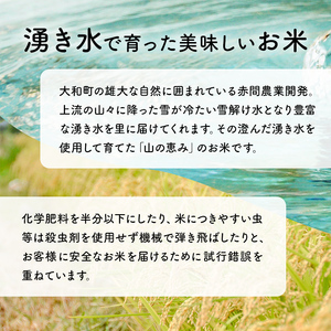 ＜令和6年産 新米＞ つきあかり 10kg お米 おこめ 米 コメ 白米 ご飯 ごはん おにぎり お弁当【赤間農業開発株式会社】ta460