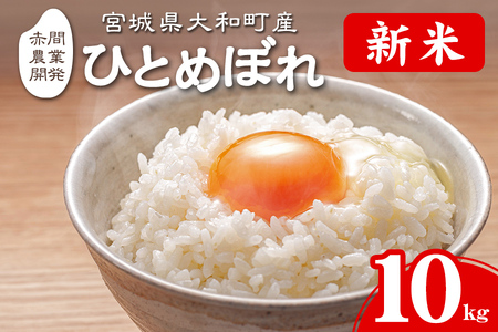 ＜令和6年産 新米＞ ひとめぼれ 10kg お米 おこめ 米 コメ 白米 ご飯 ごはん おにぎり お弁当【赤間農業開発株式会社】ta461