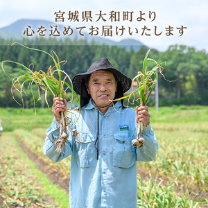 生むきにんにく 1kg にんにく ニンニク ガーリック ホワイト おつまみ 健康 食品 料理 産地直送 宮城県 大和町【株式会社ファーム沢渡】ta553
