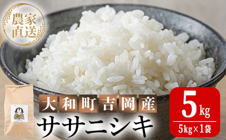 【令和7年産】お米農家直送！ササニシキ 5kg お米 おこめ 米 コメ 白米 ご飯 ごはん おにぎり 宮城米 ささにしき 令和7年産 お弁当 【お米農家ろくすみファーム】 ta522